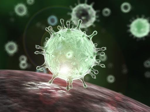 Simulação de imagem do coronavírus no organismo.